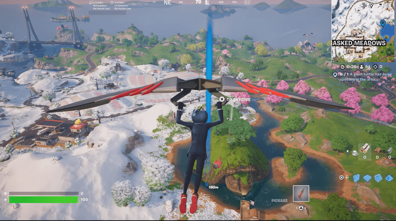 The Great Turtle Quest