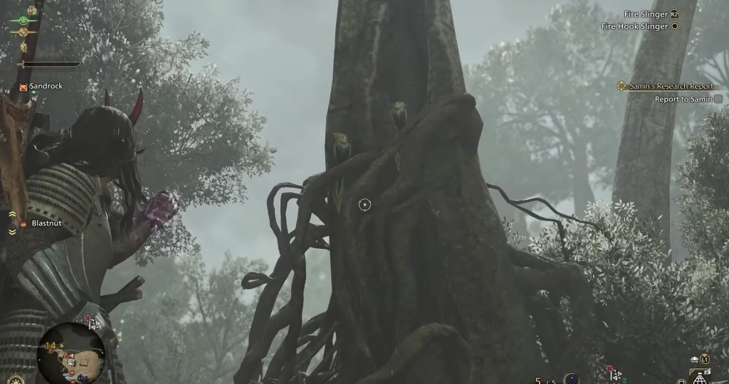 Dapperwings Monster Hunter Wilds