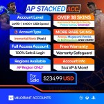 Valorant Account With Skins APS_234.99