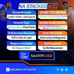 Valorant Account With Skins NAS_649.99