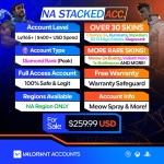 Valorant Account With Skins NA_259.99