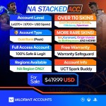 Valorant Account With Skins NA_419.99