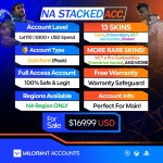 Valorant Account With Skins NA_169.99