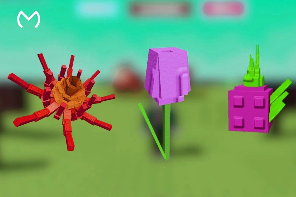 Woody Plants in Grow a Garden